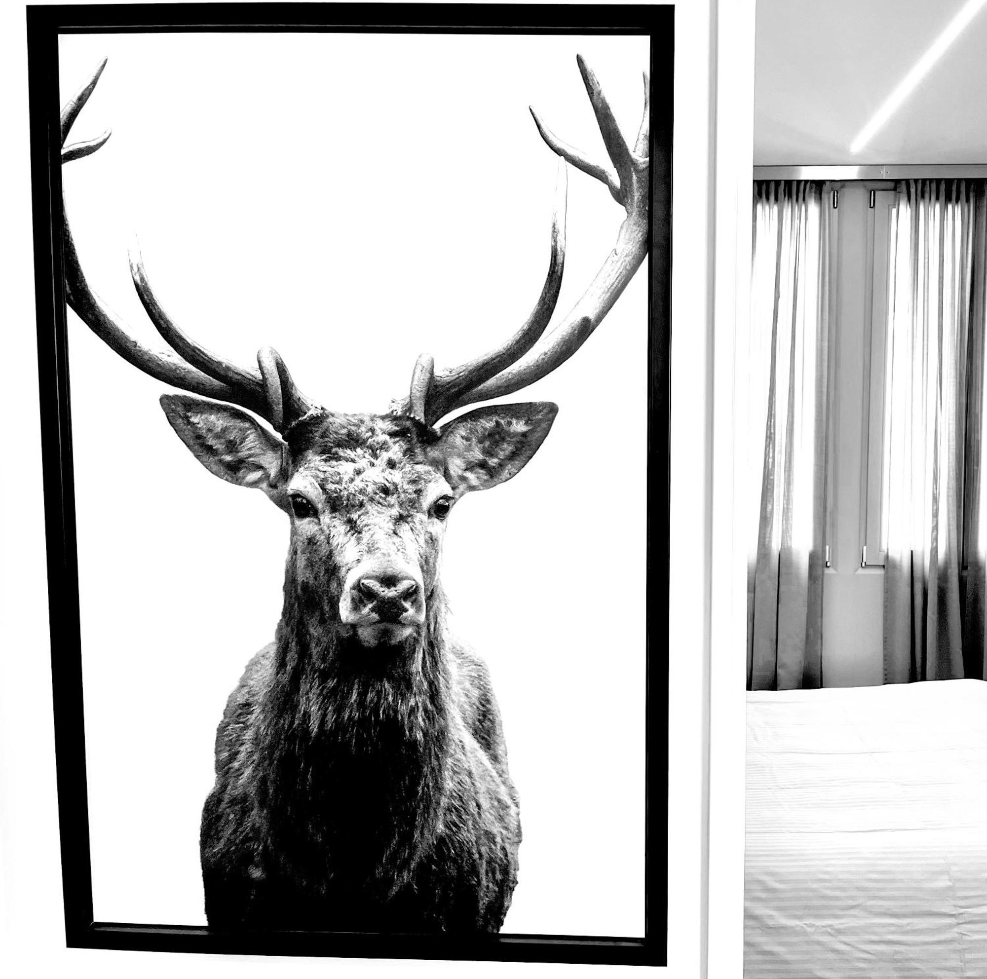 Suite Falier- Luminosa Venezia ภายนอก รูปภาพ